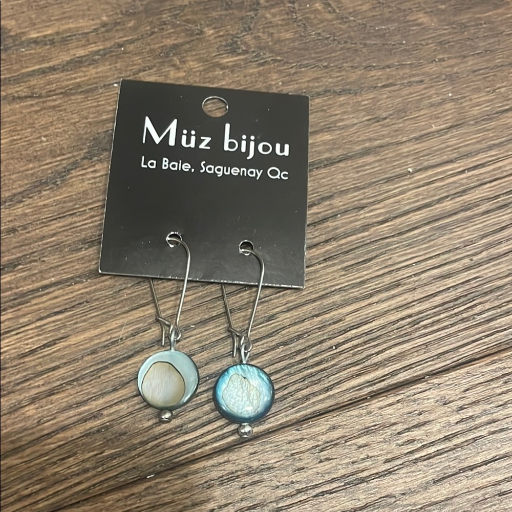 Blue and Silver Earrings